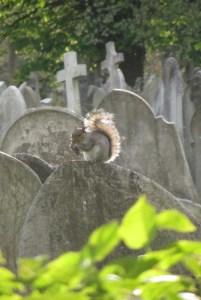 As I was passing Elmers Cemetery one evening.....