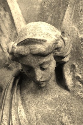 A close-up of her calm , enigmatic face. Copyright Carole Tyrrell