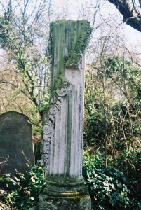 copyright Carole Tyrrell