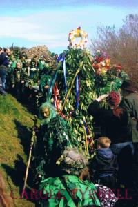 The Jack in the Green at the Hastings MayDay festival Copyright Carole Tyrrell