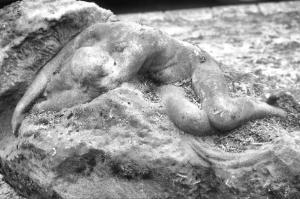 From West Norwood cemetery copyright Carole Tyrrell