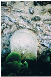 A wonderful epitaph for a much loved dog copyright Carole Tyrrell