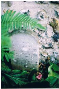 Soot's tombstone copyright Carole Tyrrell