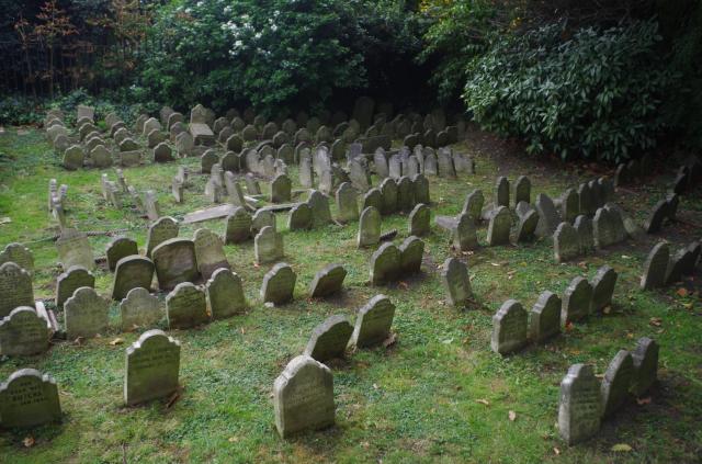 The first view of the cemetery