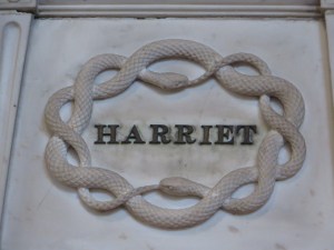 What initially looks like a simple pattern is two snakes entwined - tail to head. copyright Carole Tyrrell