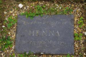 Henna. ©Text and photos Carole Tyrrell